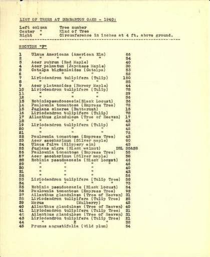 List of trees, Section F, 1940