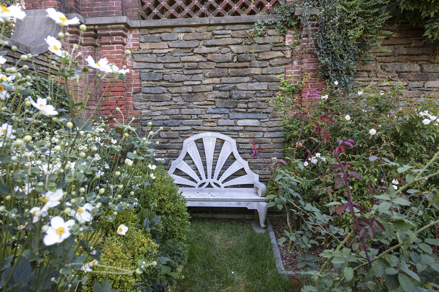Bench in Rose Garden