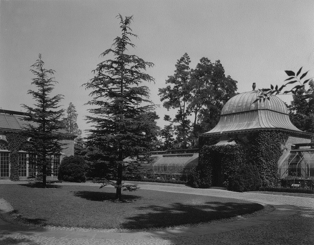 Black and white photograph of the Greenhouse