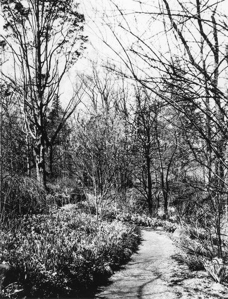 Stream Path, 1930s. From Library of Congress: Historic American Buildings Survey/Historic American Engineering Record/Historic American Landscapes Survey.