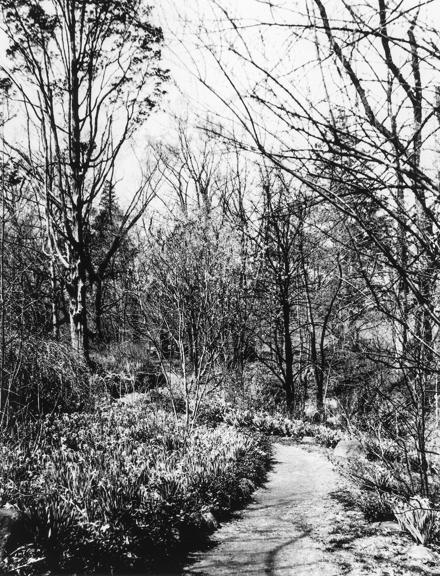 Stream Path, 1930s