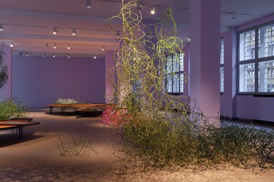 Installation of Tending to the Harvest of Dreams (2021) at the MMK Museum of Modern Art, Frankfurt