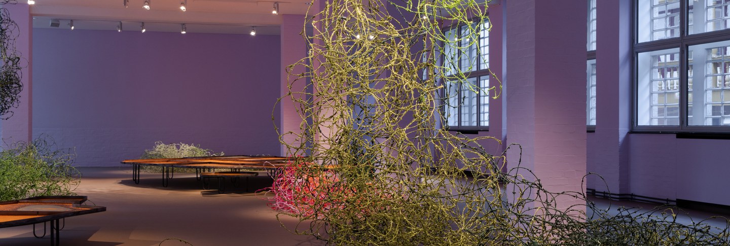 Installation of Tending to the Harvest of Dreams (2021) at the MMK Museum of Modern Art, Frankfurt