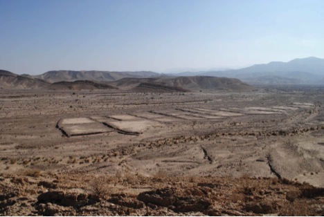 Fig. 2: Agricultural field system along south bank of Wadi Musa (Smith 2013–2014)