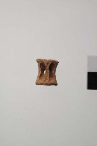 Fig. 13: Fish vertebra, possibly a gaming piece (O1) (Bourbou 2010–2011)