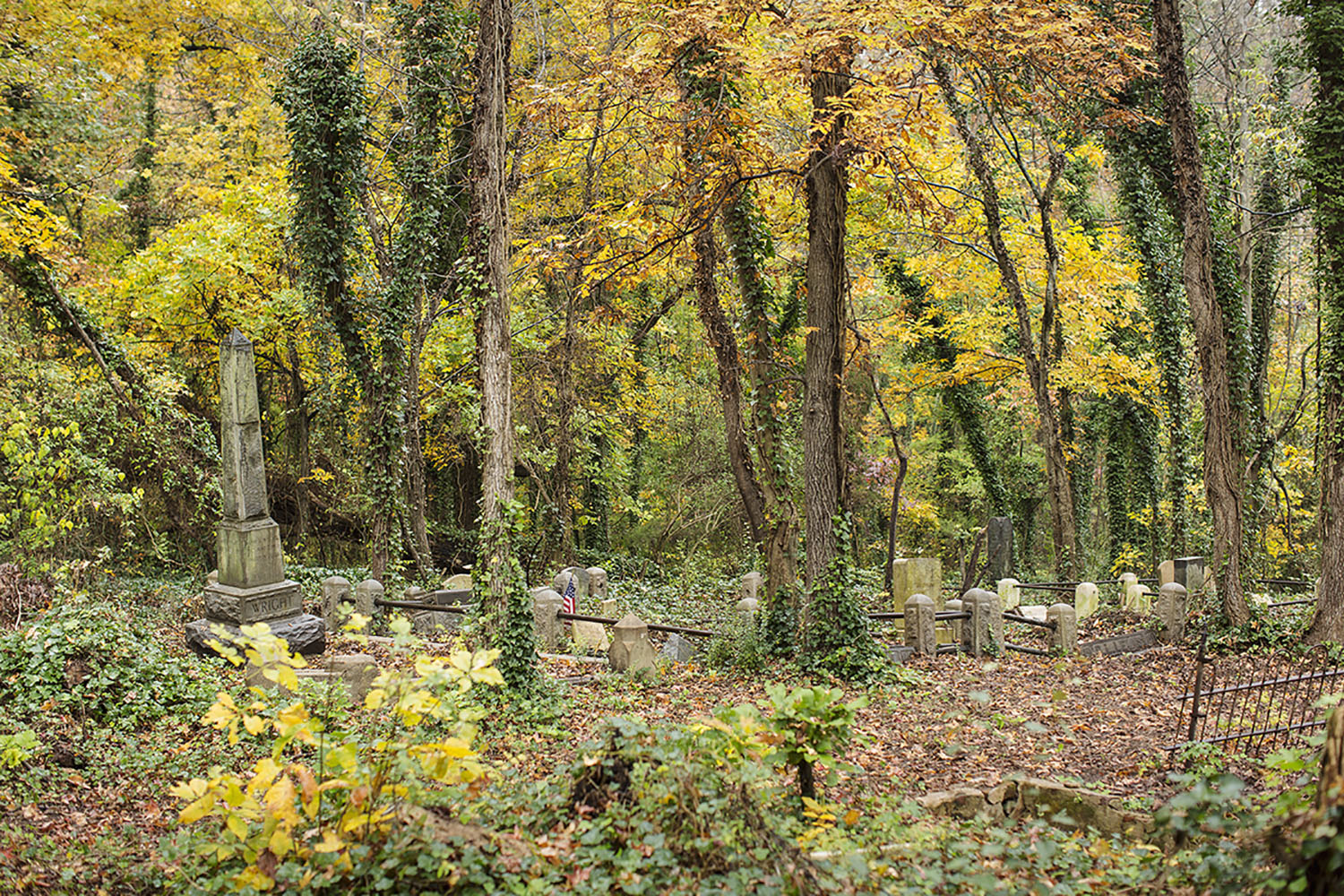Fig. 2: Autumn in the original section of East End Cemetery (Palmer 2017–2018)