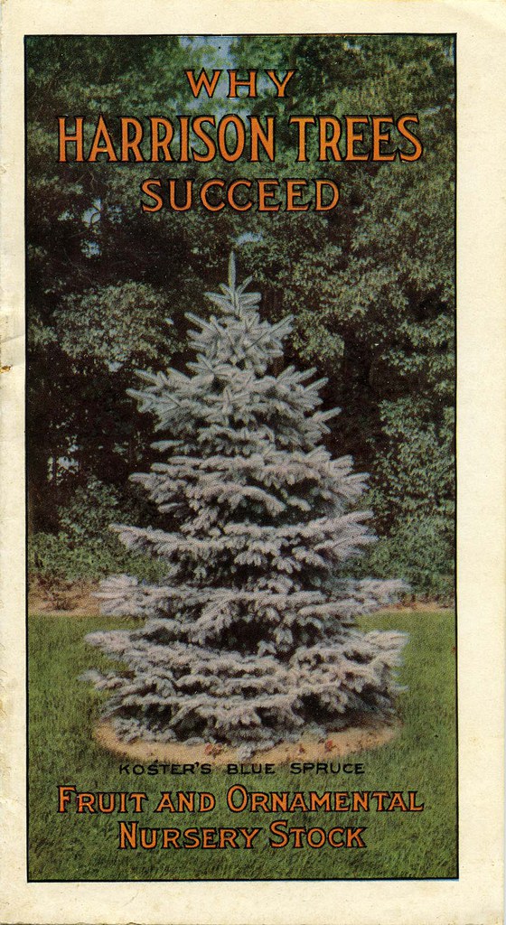 Harrison Trees Brochure. Ephemera Collection, Archives, AR.EP.BR.0362a, Dumbarton Oaks Research Library and Collection.