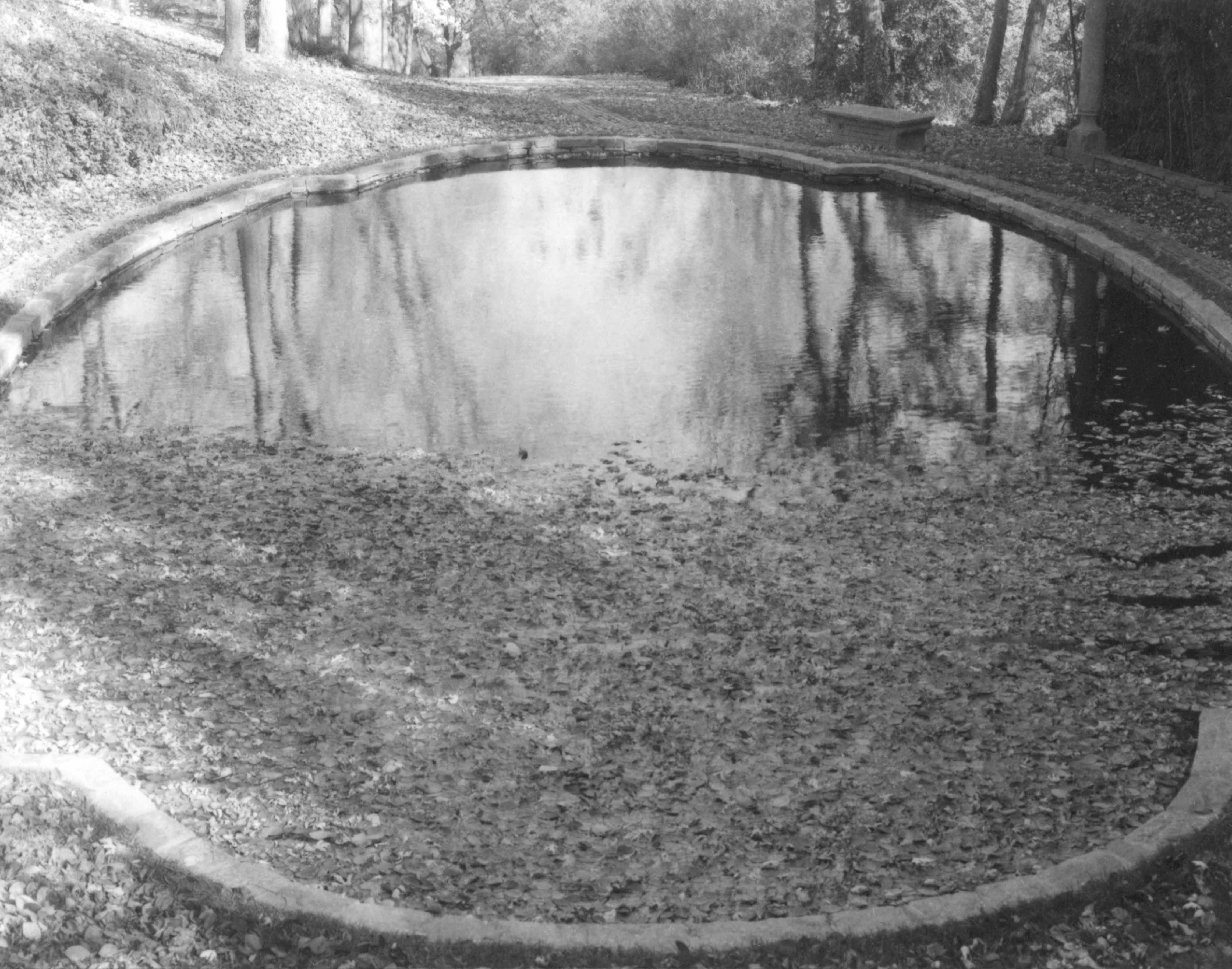 Tanya Marcuse, Lovers Lane Pool, Dumbarton Oaks Gardens, 1999, HC.PH.2000.01