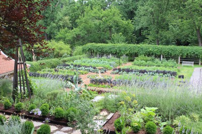 Then and Now: Changes to the Ellipse and Kitchen Gardens