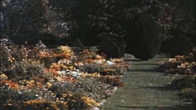 Dumbarton Oaks Gardens: winter and summer scenes, approximately 1920s–1940s