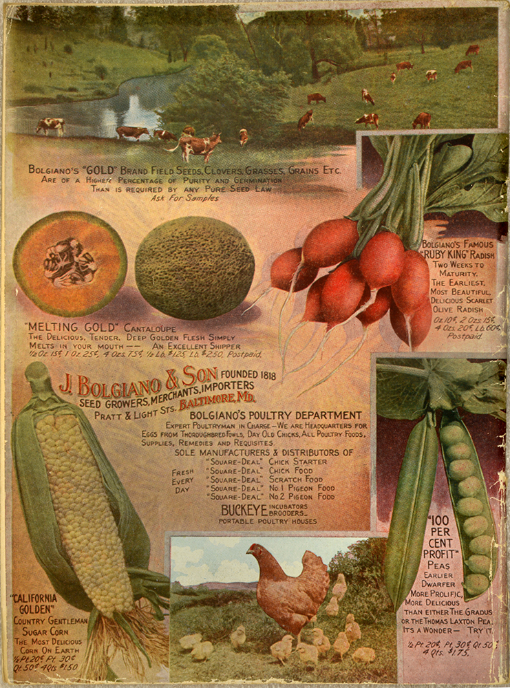 Seed Catalogue 10