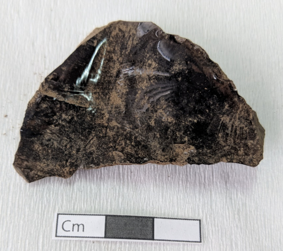 Fig. 3. Unifacial obsidian tool recovered from a stratigraphic context dating to 3341/3247–3100 cal BC. Artifact was not cleaned in order to include the piece in an ongoing study of microbotanical evidence (photograph: Eric Dyrdahl).