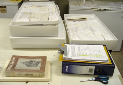 Published and archival sources are brought together to resolve issues of object identification and improve contextual information on hundreds of vegetable fiber slings, boxed and ready to go into the Textiles department's climate-controlled storeroom.