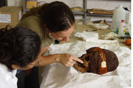 Fig. 15: Lizbeth Trero and Melissa Lund examine the provenience and inventory data inscribed on the cheekbone of a Paracas Necropolis male individual (Peters 2005–2006)