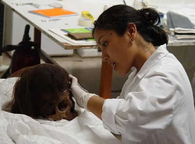 Karina Curillo fits a tulle hairnet to a Paracas male individual with a well preserved hair arrangement.