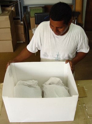 Carlos Murga designed a box for storing two human heads with well-preserved headdresses, including individual padded trays to minimize direct handling.