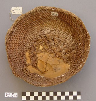 This basket was one of those used to develop the Paracas site basket typologies. Despite efforts made to reinforce the basket in the 1940s, the fibers contain salts that make it liable to destruction in the humid air of Lima. A stitched cloth label from the 1940s endures in good condition, while lettering on a more recent tag has been eaten away.