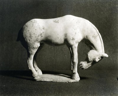 Ex.Coll.HC.S.1927.05.(TC), Horse