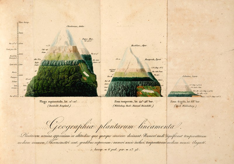 De distributione geographica plantarum secundum coeli temperiem et altitudinem montium