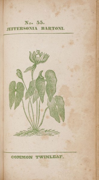 Medical flora: or, Manual of the medical botany of the United States of North America