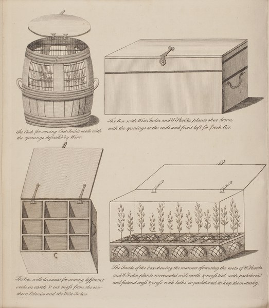 Directions for bringing over seeds and plants, from the East Indies and other distant countries, in a state of vegetation