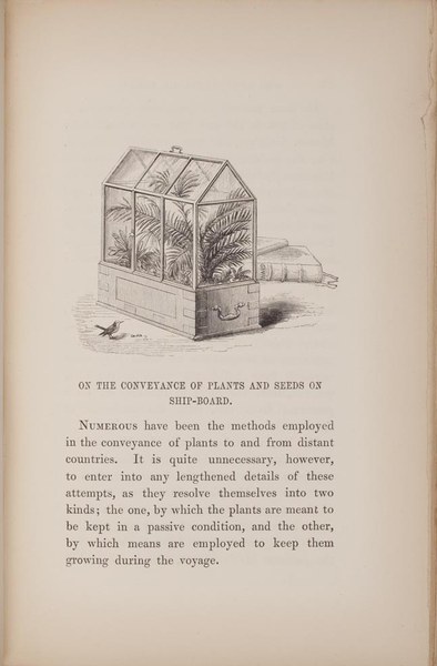 On the growth of plants in closely glazed cases