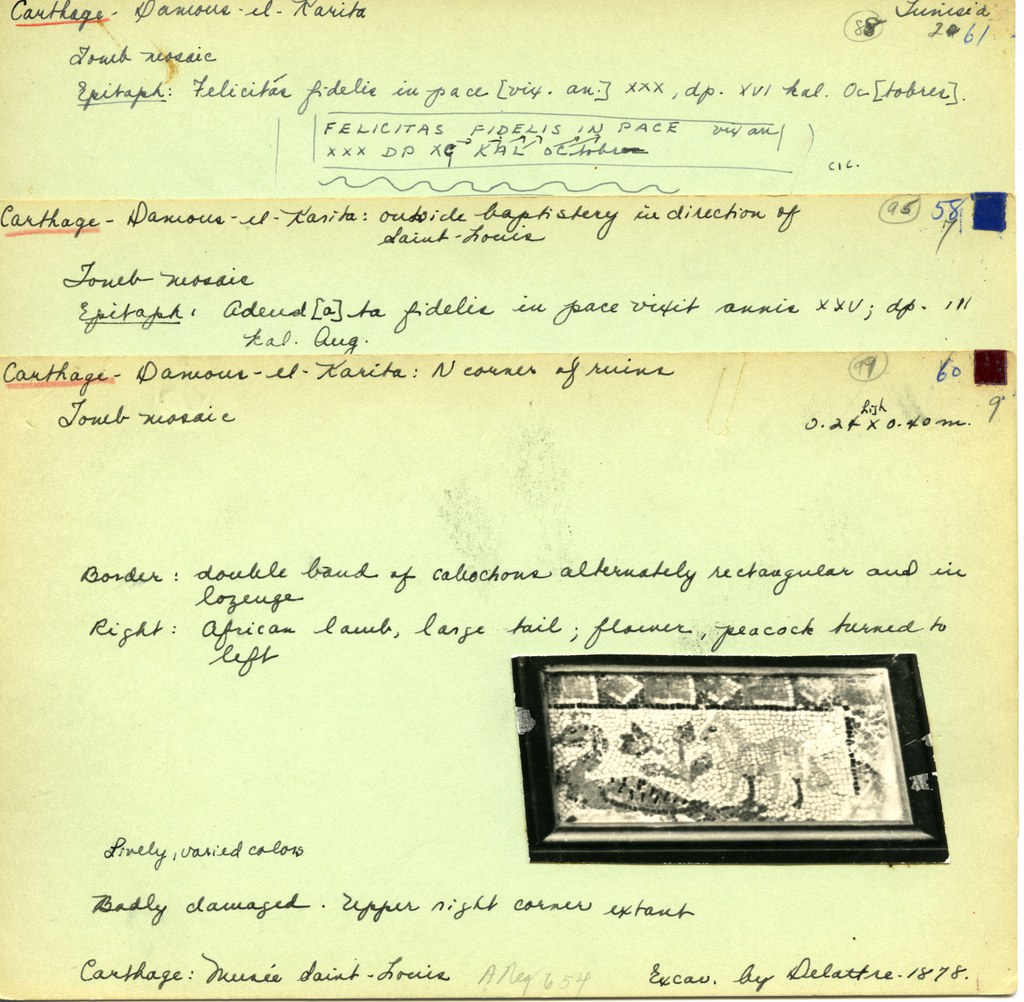 Note cards from Alexander's dissertation research, c. 1940s-1950s