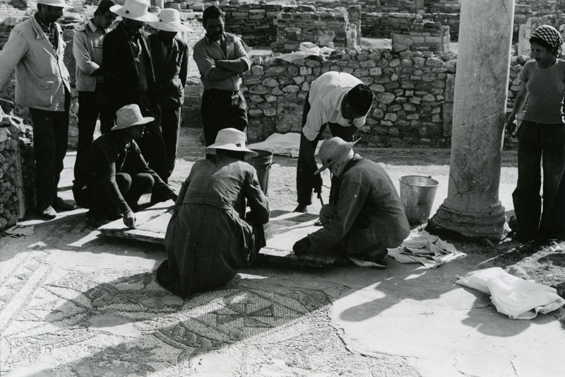 CMT team and Tunisian workers cleaning a mosaic pavement at Thuburbo Majus, 1974
