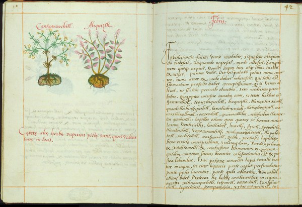 Cruz-Badiano Codex