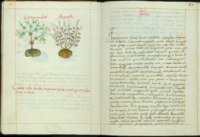 Cruz-Badiano Codex