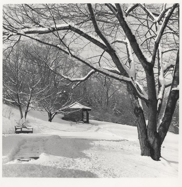 Cherry Hill, snow covered view with Catalogue House, 1965–1987