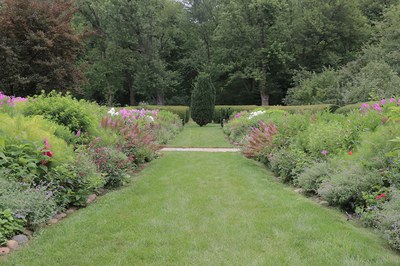 Herbaceous Border, looking East, July 2015