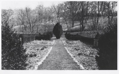 Herbaceous Border, yew at east end, April 1932