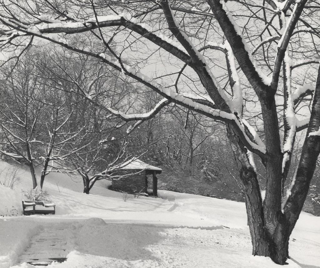 Cherry Hill, snow covered view with Catalogue House, 1965–1987 (detail)