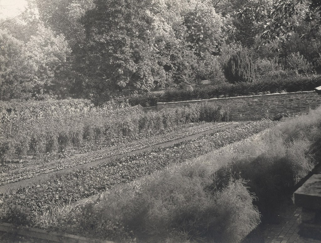 Kitchen Garden, lower level, looking southeast to yew, 1927–1932 (detail)