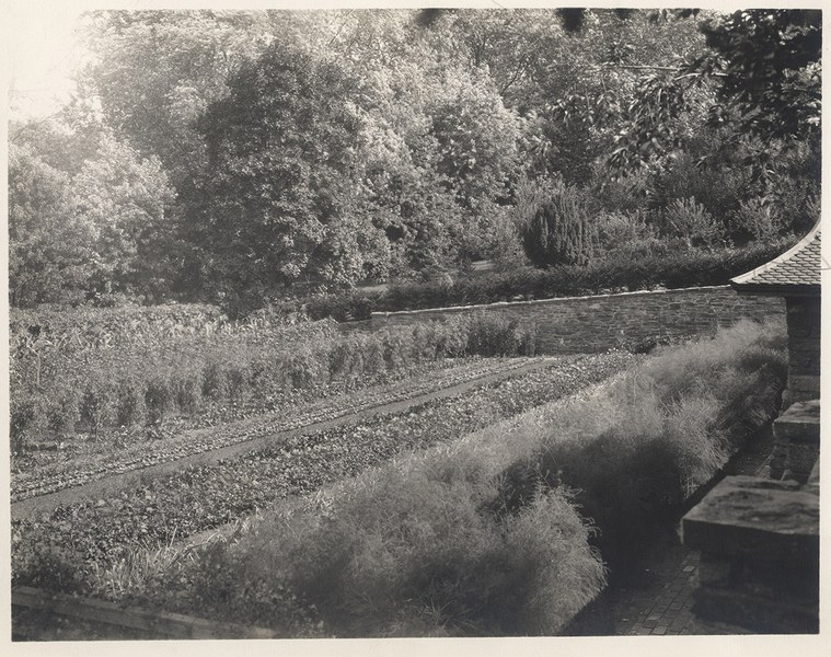 Kitchen Garden, lower level, looking southeast to yew, 1927–1932