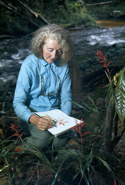 Mee sketching a heliconia, 1967
