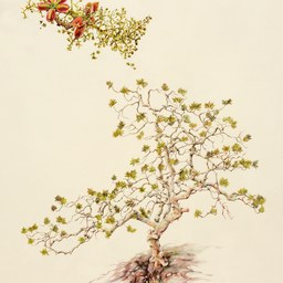 Nirupa Rao (b. 1990), 2019, 45.7 × 61 cm, watercolor. Loan, Nirupa Rao