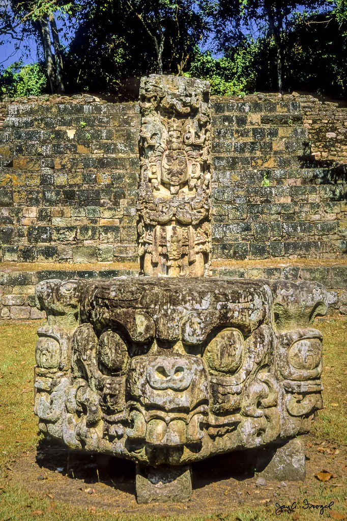 Copan, Stela D with Altar in Front. Photo: Jay A. Frogel.