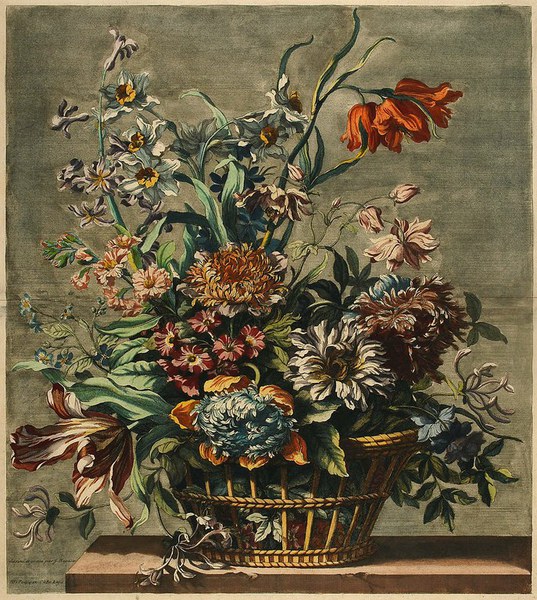 Robert & Monnoyer: French Botanical Artists of the Seventeenth Century