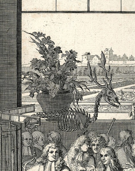 Frontispiece, Recueil de plantes: Detail