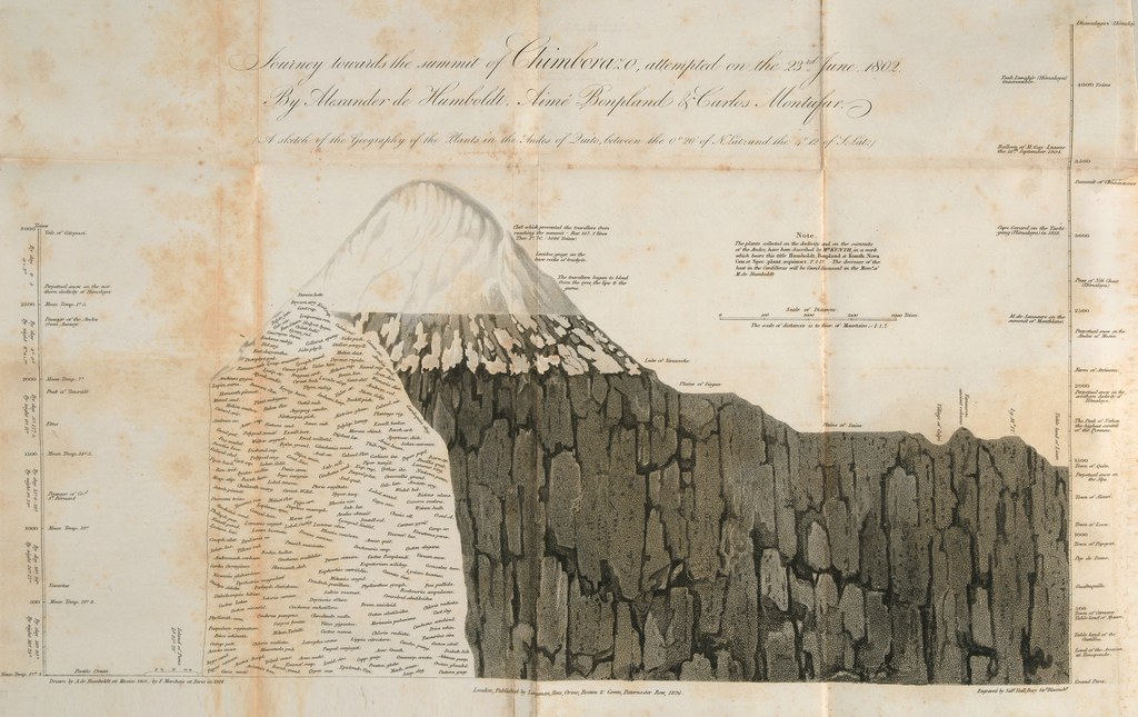 Chimborazo, A sketch of the Geography of the Plants