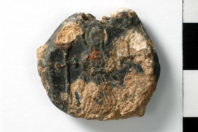 Phokas (603–607)