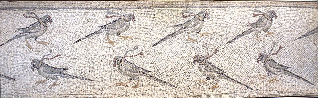 Floor Mosaic with Beribboned Parrots