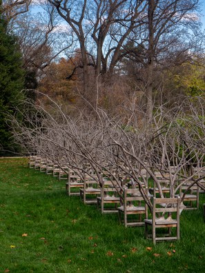 View from behind of several rows of wooden elementary school-style wooden desks with tree branches emerging from the seats and tops, arranged on a long, flat, grassy lawn.