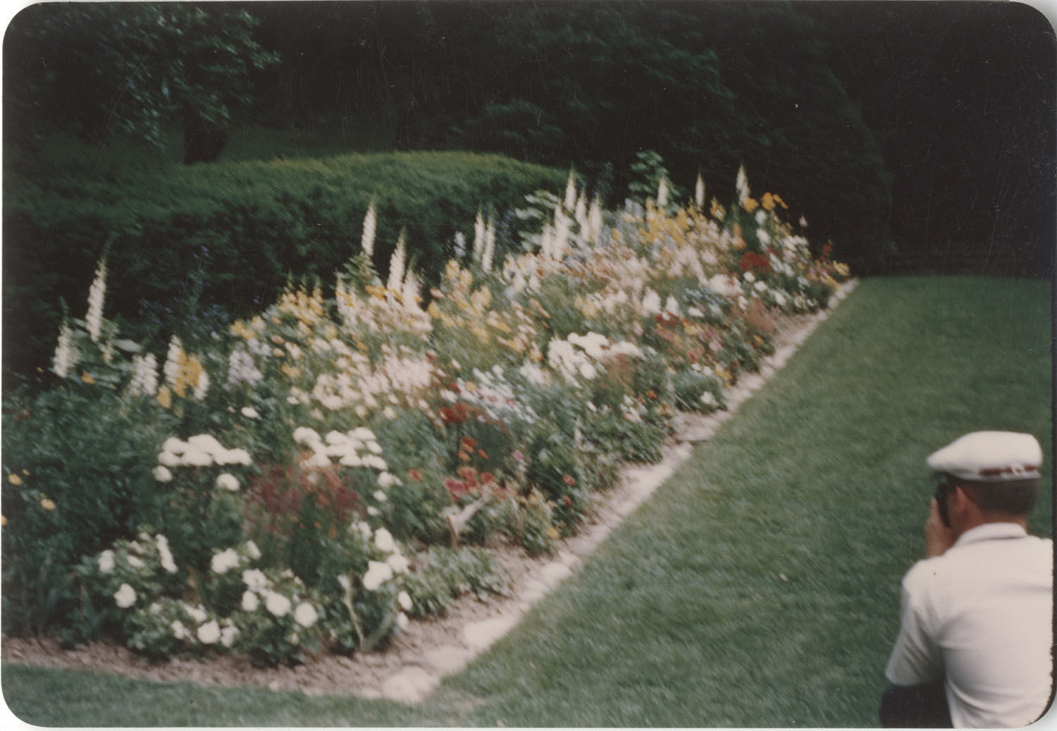A man takes a photograph of one of the Herbaceous Border beds