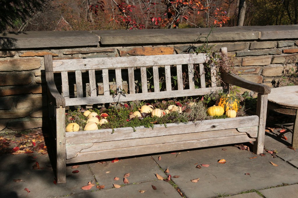 Bench with seat converted into a planting bed