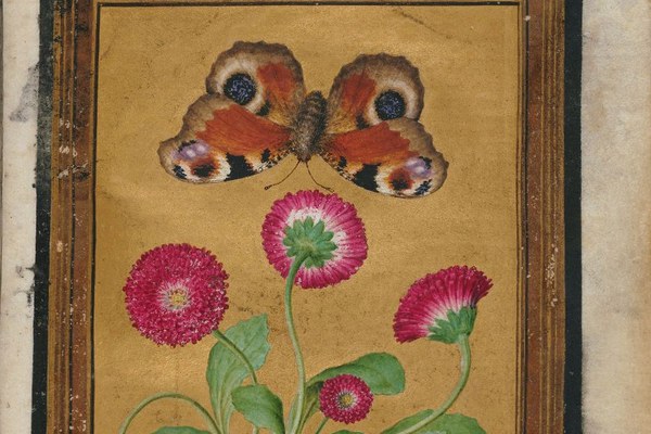 Highlights from the Dumbarton Oaks Rare Book Collection